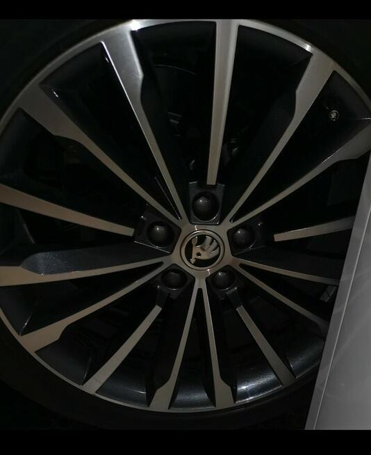 Felgi Skoda Phoenix Trinity 19