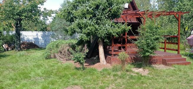 Sprzedam Działkę ROD Sierosław III