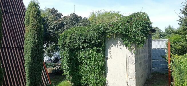 Sprzedam Działkę ROD Sierosław III