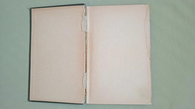 Kraszewski powieści historyczne Lubonie wydanie 1928 r