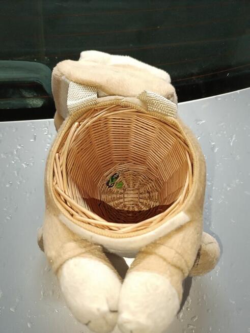 schowek na drobiazgi piesek