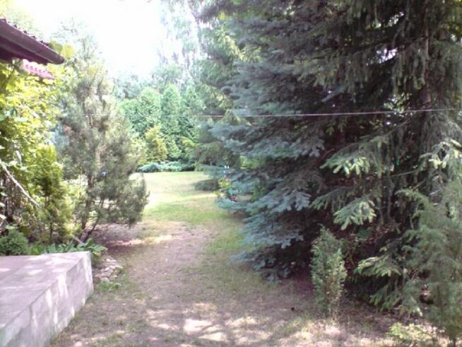 Samodzielny, ogrodzony dom nad zalewem Sulejowskim