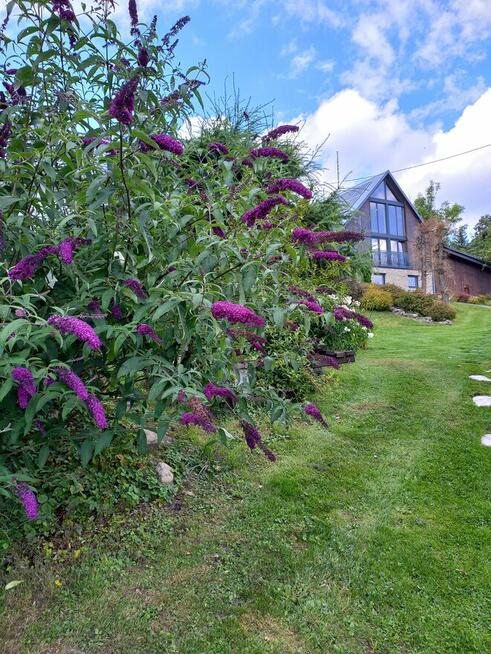 Domki apartamenty simonka