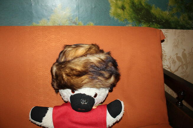 Czapka damska tchórz