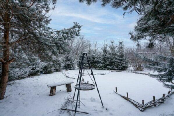 4pok 120m OGRÓD / 2STRYCHY / PIWNICA / GARAŻ (Nowy Julianów)