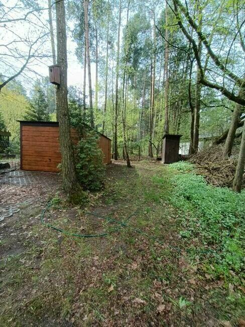 Wynajmę na sezon wiosenno - letni