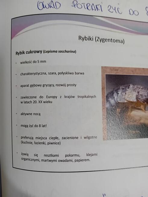 Pluskar24 zwalczanie pluskiew ,gryzoni