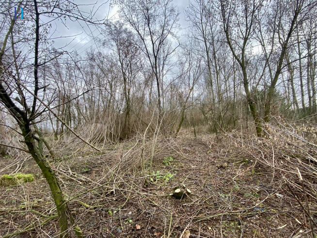 Działka rolna Nadolna gm. Dmosin,