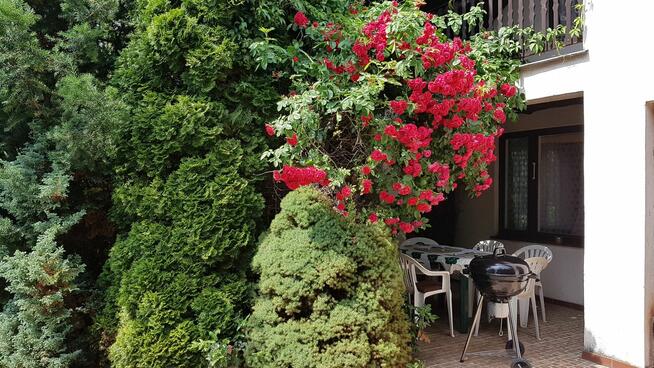 Samodzielny dom z ogrodzoną działką nad jeziorem Szczytnowsk