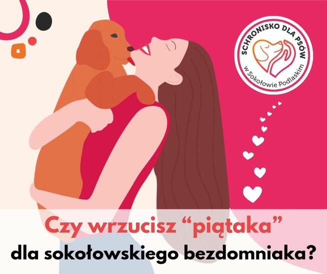 Schronisko dla Psów w Sokołowie Podl.