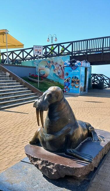 Domki na wodzie ARKA w centrum Mielna