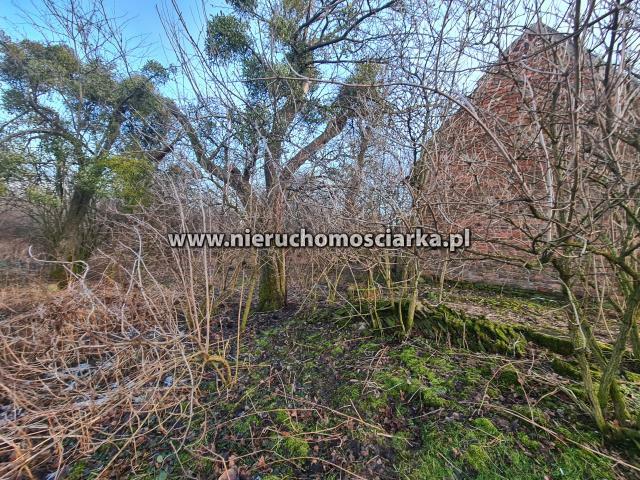 Działka budowlana Turze gm. Kuźnia Raciborska