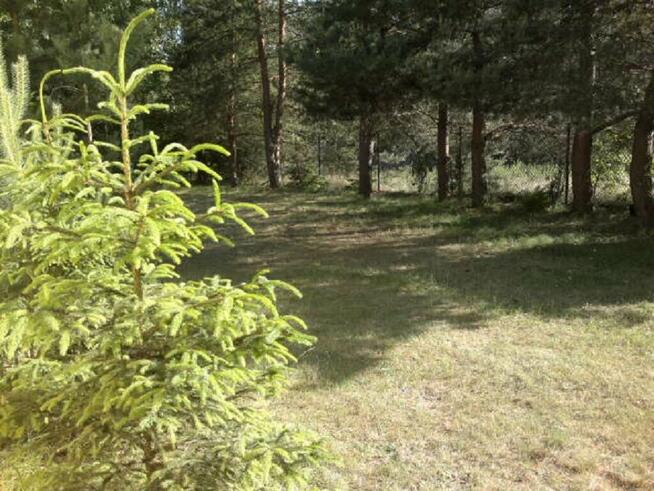 Samodzielny dom z działką nad jeziorem Głuszyńskim