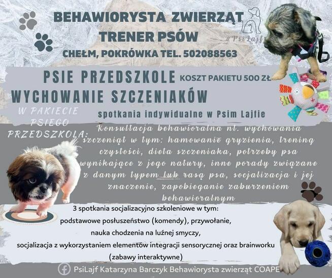 Behawiorysta psów i kotów COAPE - Chełm i okolice