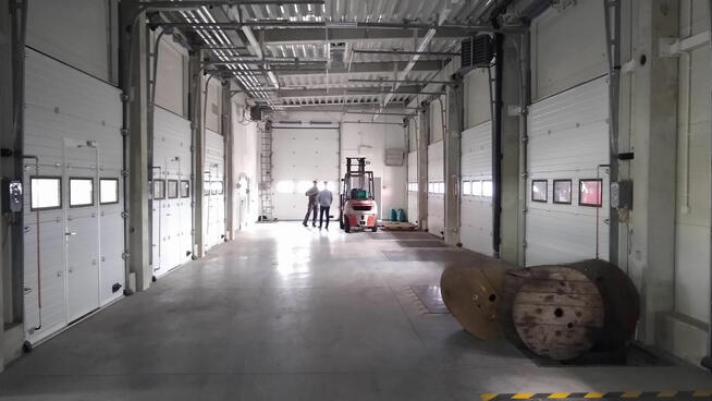 Producent BRAM Wister-Bram