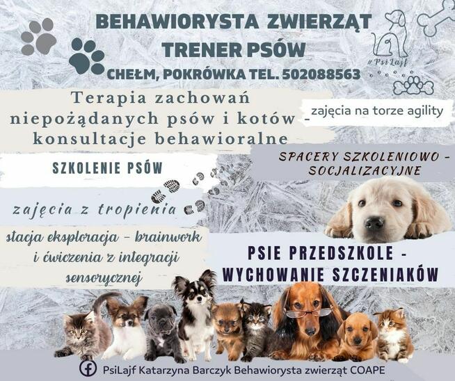 Behawiorysta psów i kotów COAPE - Chełm i okolice
