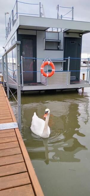 Domki na wodzie ARKA w centrum Mielna