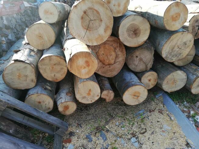 Drewno opałowe kominkowe