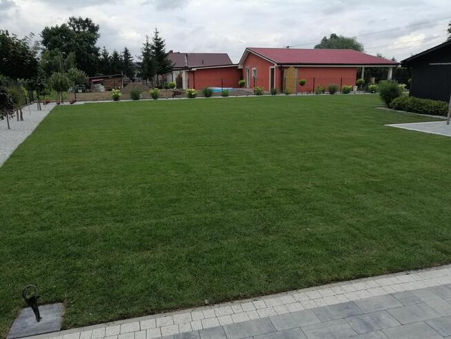 Ogrody , Projekt Realizacja ,Zakładanie Trawników