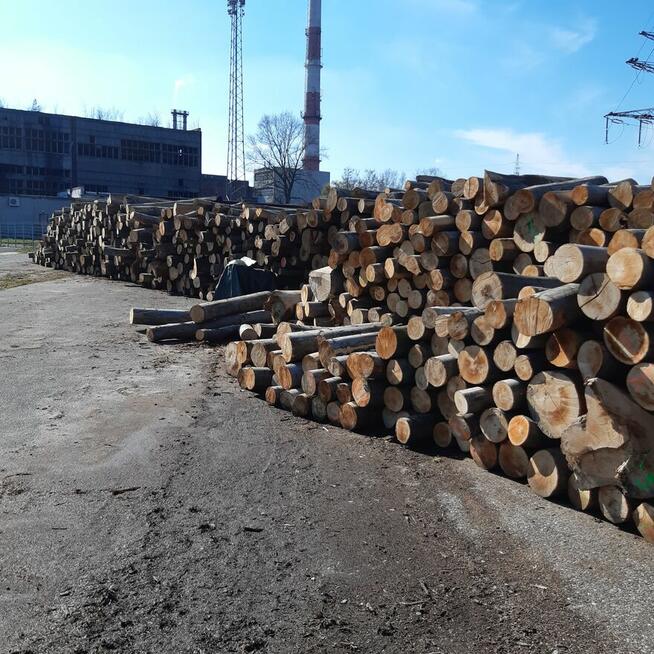 Drewno opałowe, kominkowe Cieszyn