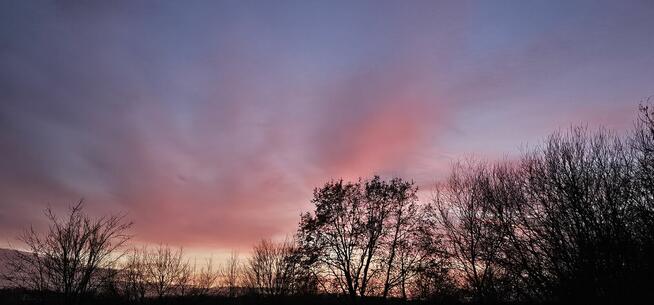 Chiptuning, Ecotuning, DPF/FAP, Ad Blue, EGR, TCU