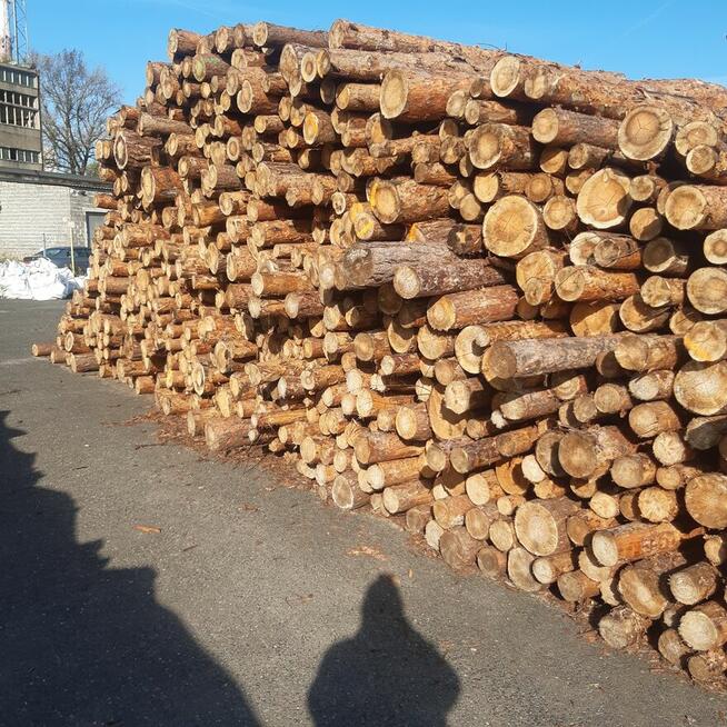 Drewno opałowe, kominkowe Cieszyn