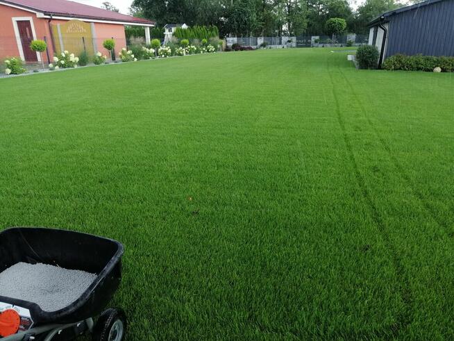 Ogrody , Projekt Realizacja ,Zakładanie Trawników