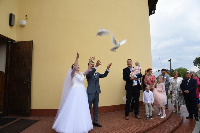 Fotograf, kamerzysta, teledysk, klip, DRON, album