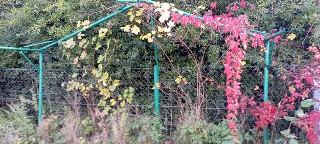 Sprzedam działkę rekreacyjno uzytkowa