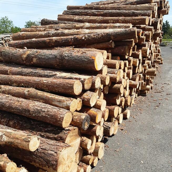 Drewno opałowe, kominkowe Cieszyn