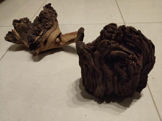 Korzeń mangrowca małe i średnie