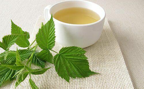 Sprzedaż hurtowa Malina (suszone liście) od producenta