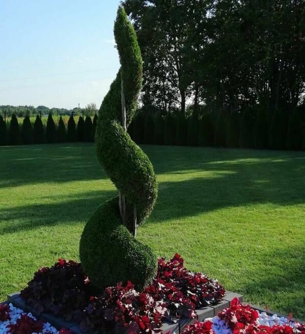 Pielęgnacja ogrodów