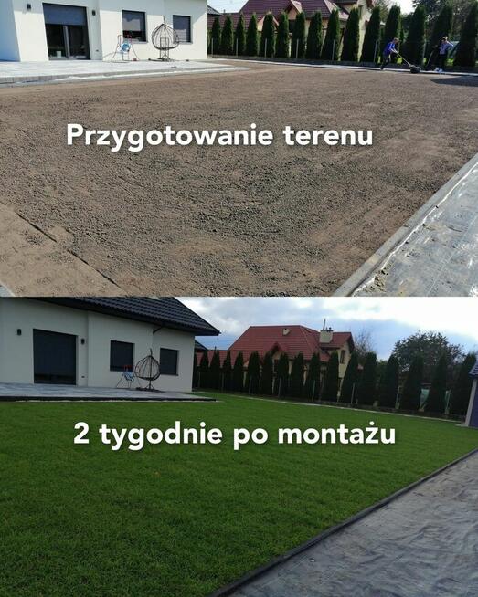Trawniki z rolki