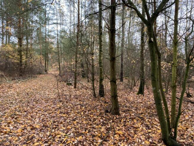 Działka inwestycyjna w rej. ul. Wiśniowej, 55 zł/m2