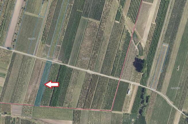 Działki rolne o pow. 0,27 ha + 0,73 ha w m. Głazów