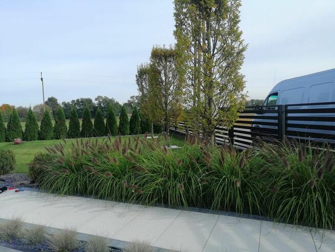 Usługi ogrodnicze Trawniki- Oczka Wodne -zakładanie ogrodów