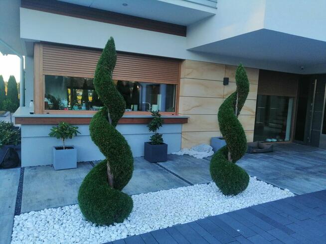 Pielęgnacja ogrodów