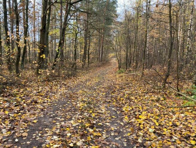 Działka inwestycyjna w rej. ul. Wiśniowej, 55 zł/m2