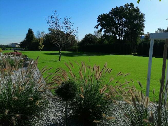 Zakładanie Ogrodów Zakładanie Trawników