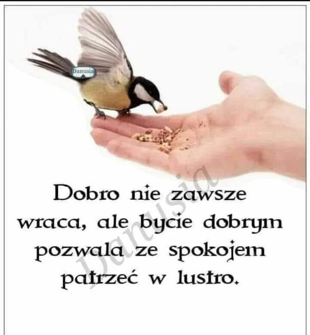 Piąta nad ranem, może sen przyjdzie, może...