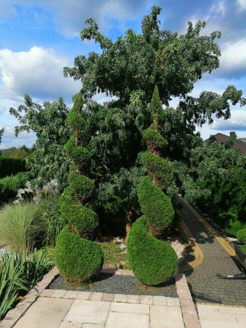 Pielęgnacja ogrodów