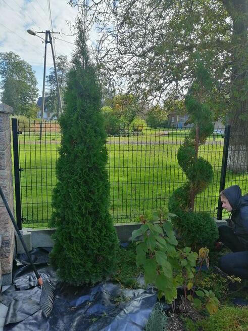 Pielęgnacja ogrodów