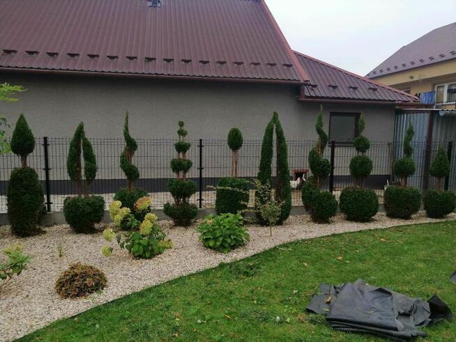 Pielęgnacja ogrodów