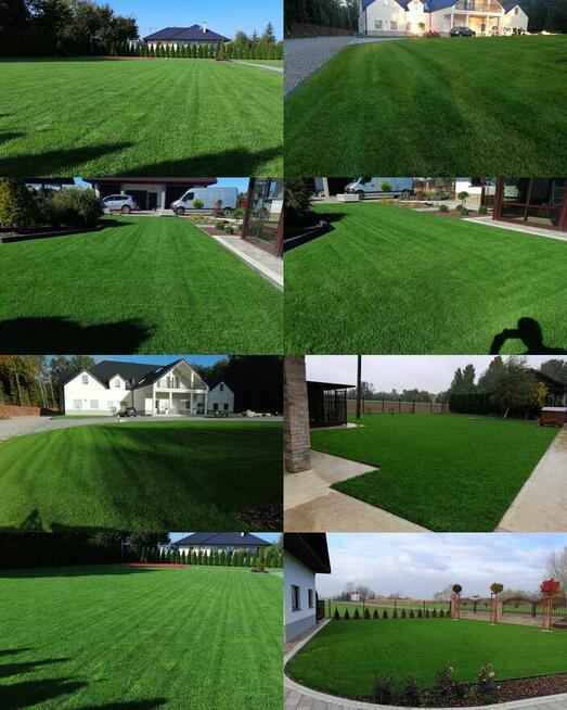 Trawniki z rolki dystrybucja oraz montaż, kompleksowo.