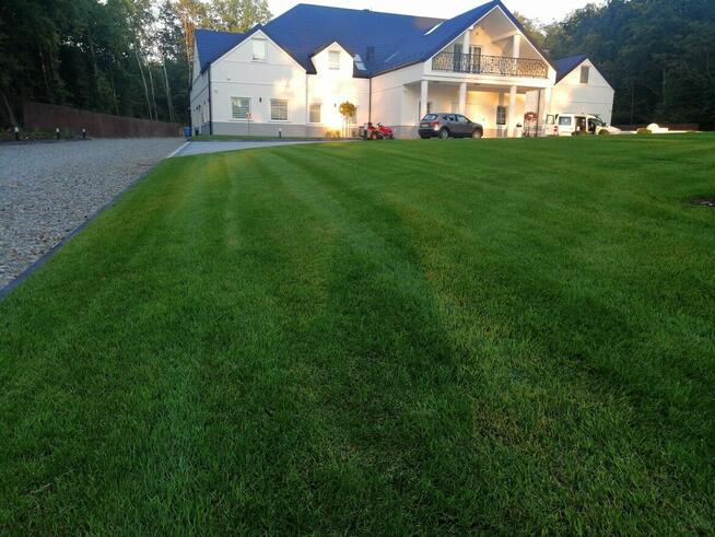 Zakładanie Ogrodów Zakładanie Trawników