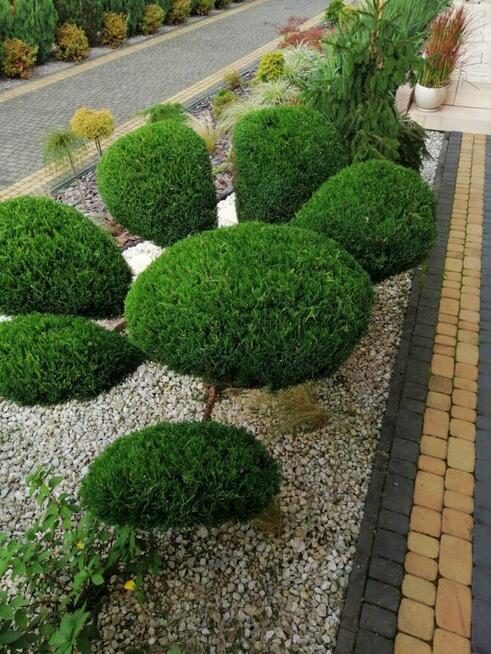 Pielęgnacja ogrodów