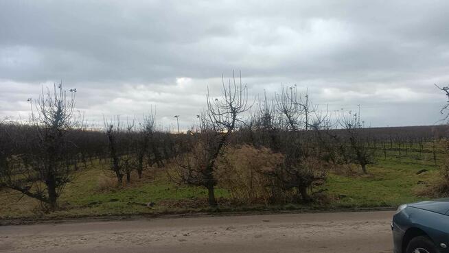 Działki rolne o pow. 0,27 ha + 0,73 ha w m. Głazów