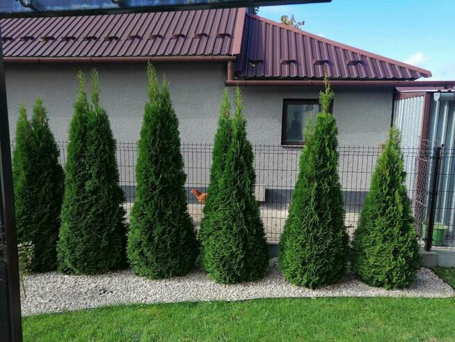 Pielęgnacja ogrodów