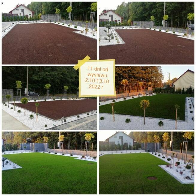 Usługi ogrodnicze Trawniki- Oczka Wodne -zakładanie ogrodów